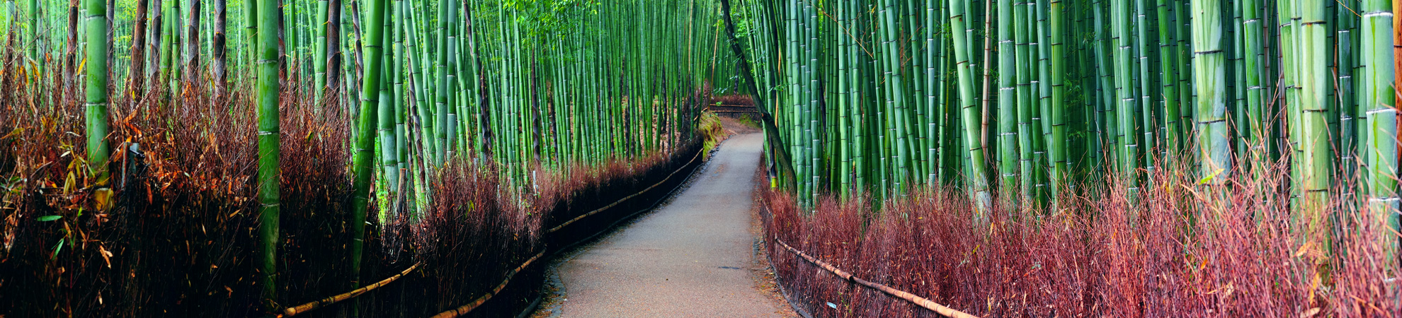 Visiter Kyoto