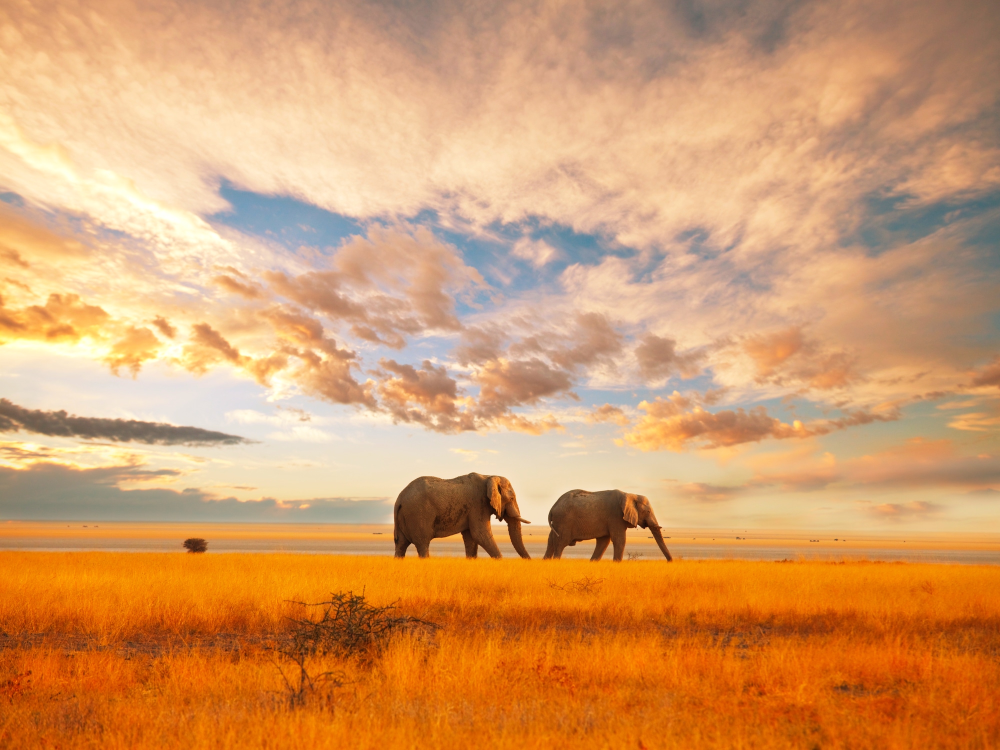 Voyage au Kenya, terre des Masais et des Big 5