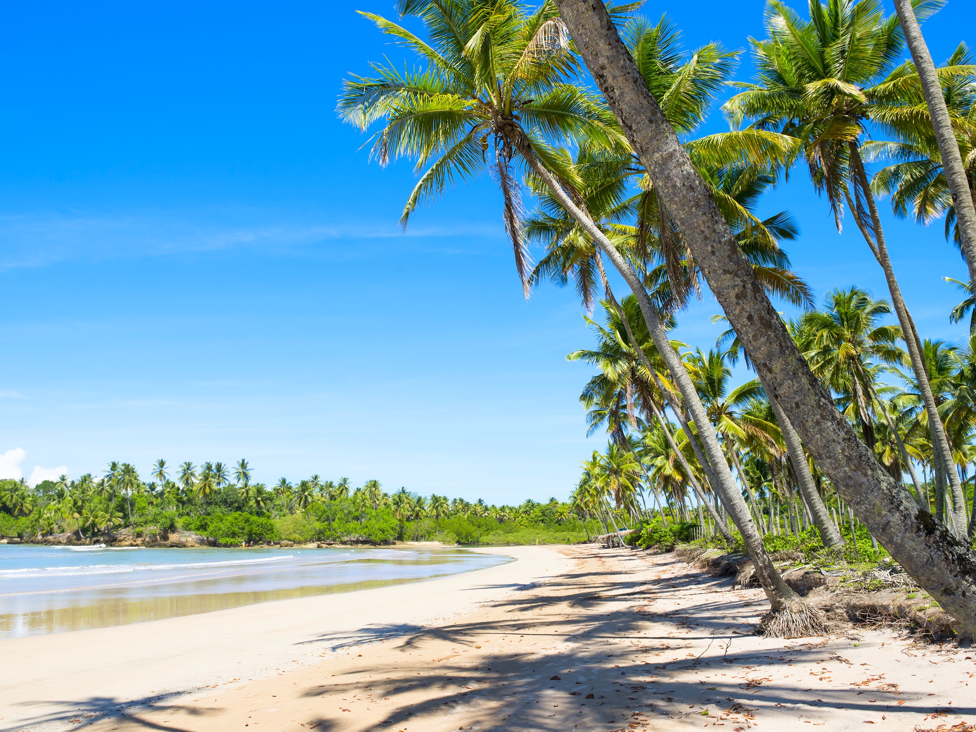 Grand cap vers les plages brésiliennes