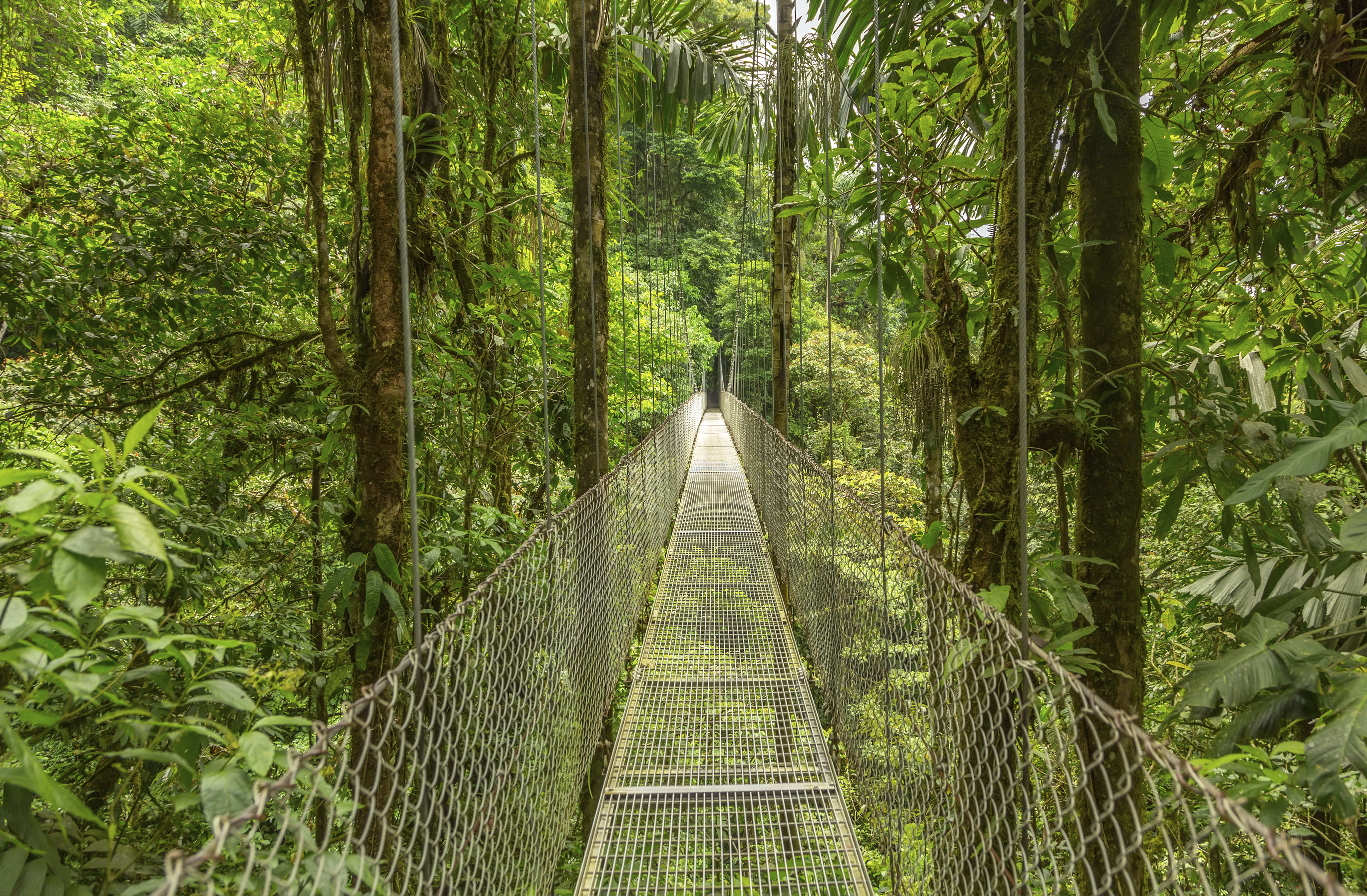 Echappée sportive au Costa Rica