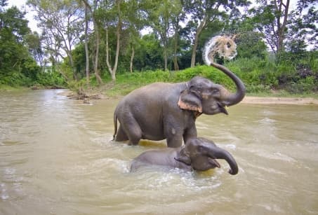 Le Cambodge à l'infini