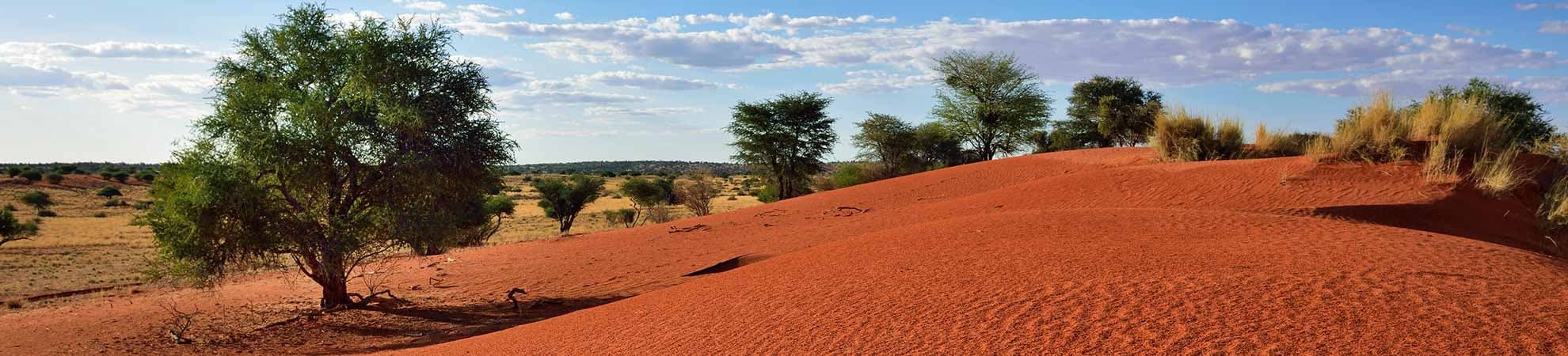 Voyage Le désert du Kalahari - Namibie