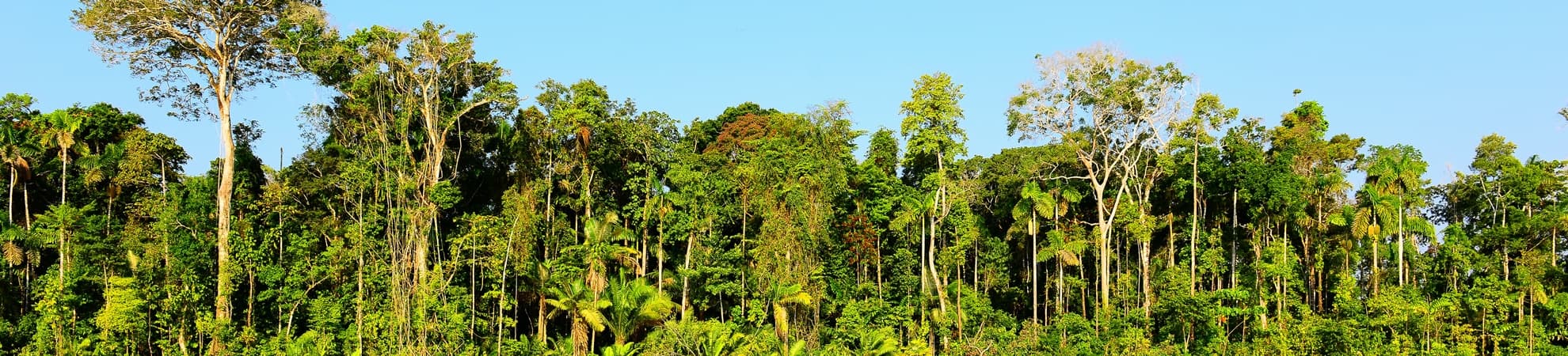 Voyage L’Amazonie du Pérou