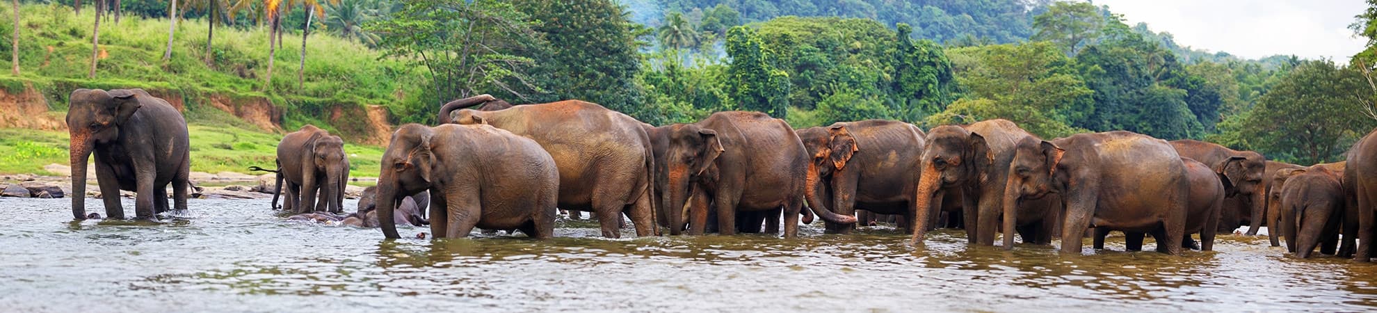 sejour sri lanka