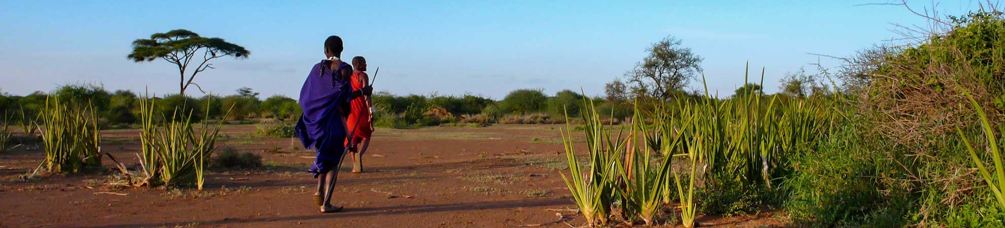 Circuit Tanzanie
