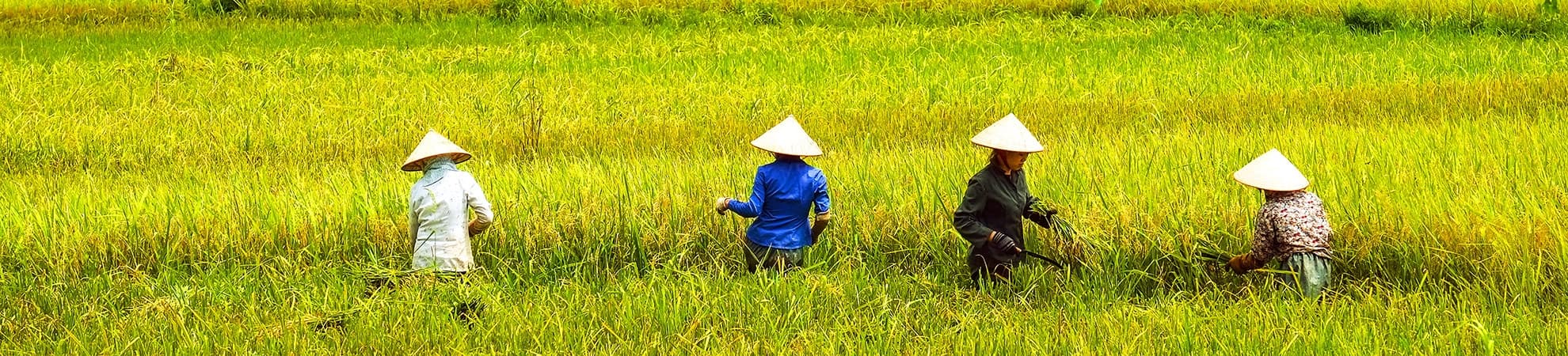 Voyager en groupe au Vietnam, Laos et Cambodge