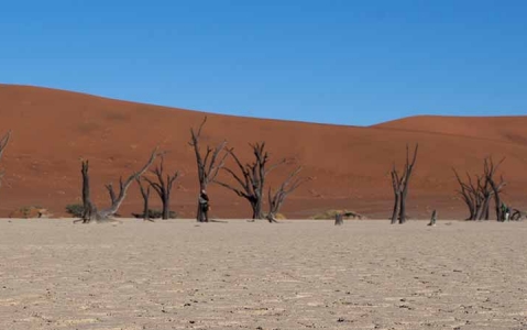 Our company dog Manifestation Le désert de Namib et plaines côtières - Namibie | Prestige Voyages en  Afrique
