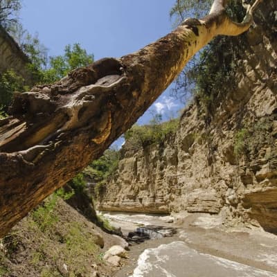 Gorges de Hell's Gate