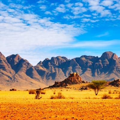 Excursion dans la réserve de Namib Rand