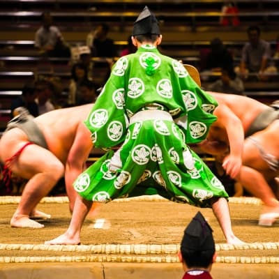 Assistez à un entraînement de sumos et rencontrez les champions !