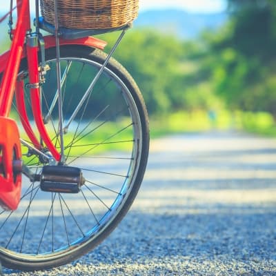 Découverte de Kyoto à bicyclette