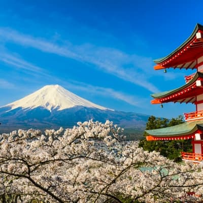 Le Mont Fuji