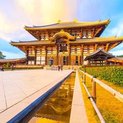 Visite guidée de Kyoto et Nara toute la journée