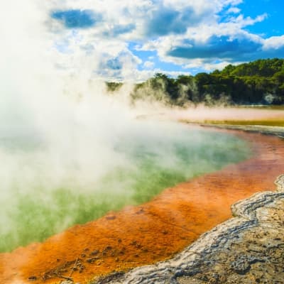 Géothermie et sources chaudes à Rotorua