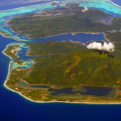 A la Découverte de la Civilisation Marquisienne