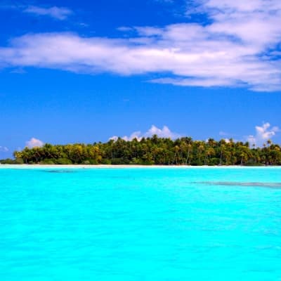 Croisière lagunaire avec pique-nique