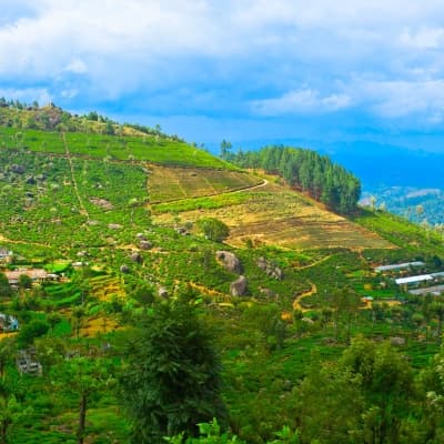 Visite du village d'Hiriwaduna