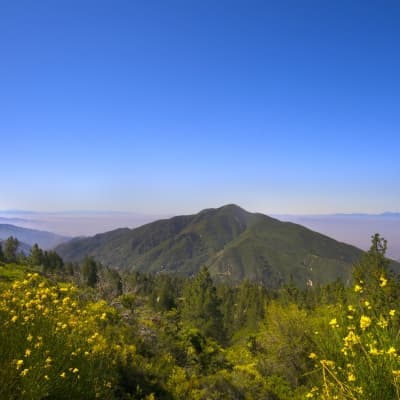San Bernardino National Forest