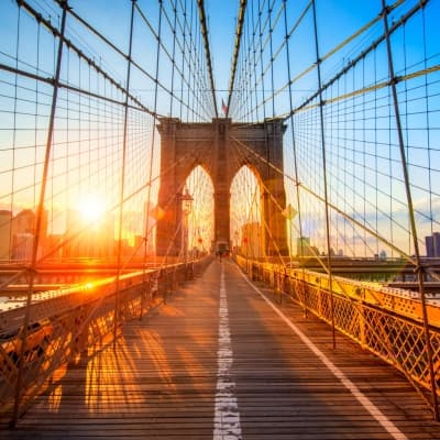Tour privatif de Manhattan, Brooklyn & Harlem (réservable par nos soins)