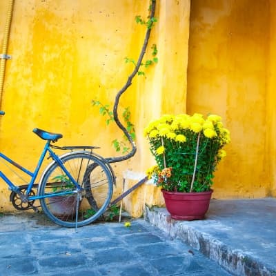 Vélo jusqu'à Tra Que