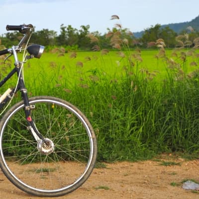 Vélo le long de la rivière des parfums