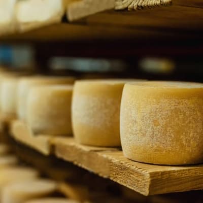Visite d'une fabrique de fromages à Chugchilan