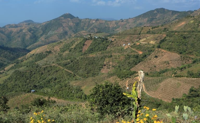 Paysages verdoyants de Kalaw