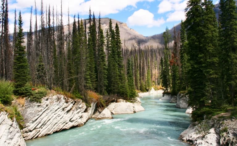 Parc de Kootenay