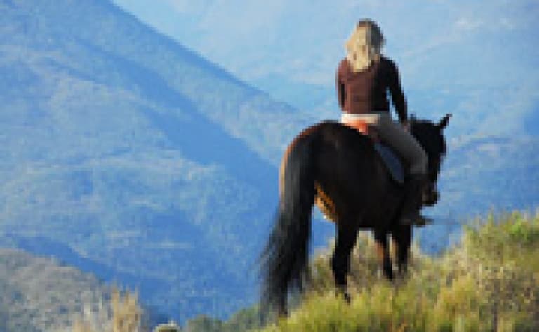 Balade à cheval