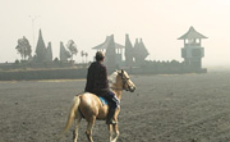 Caldeira du Mont Bromo à cheval