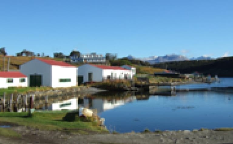 Journée dans une estancia en Patagonie