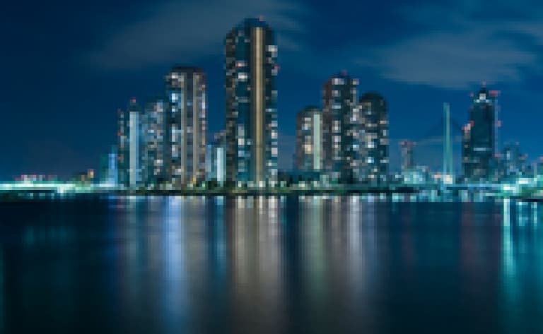 Croisière et dîner dans la baie de Tokyo