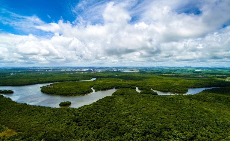 Tortuguero, la petite Amazonie du Costa Rica
