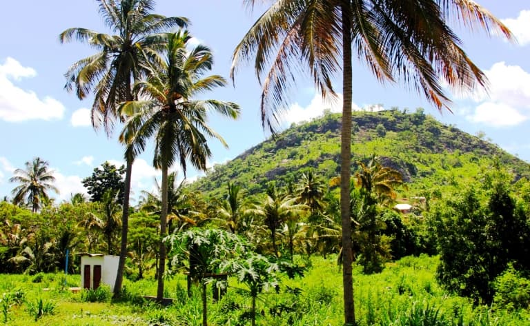 Marche au départ du Bashay Rift lodge