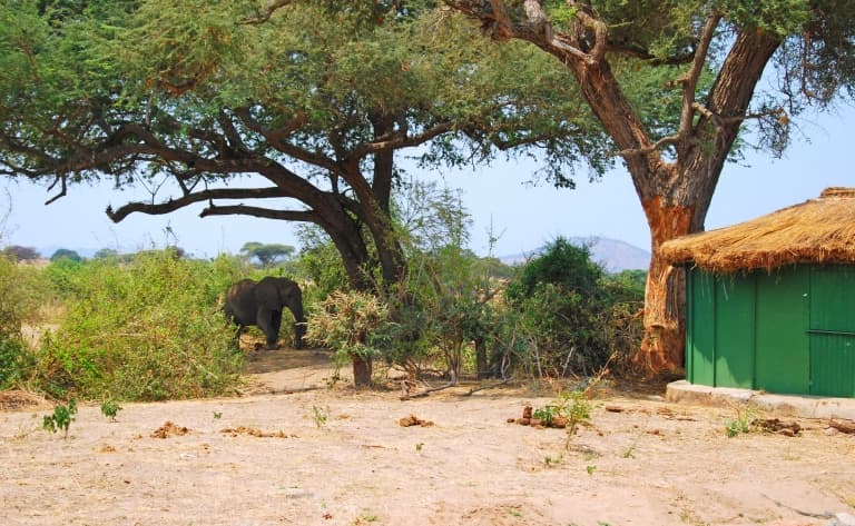 Visite de villages à Ruaha