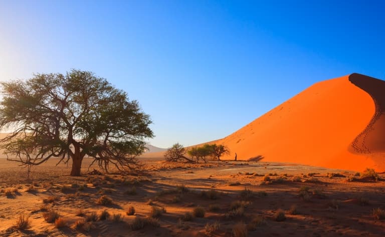 Immersion dans le Désert du Namib (340 km)