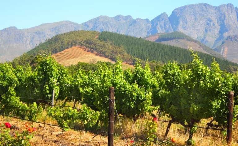La route des vins