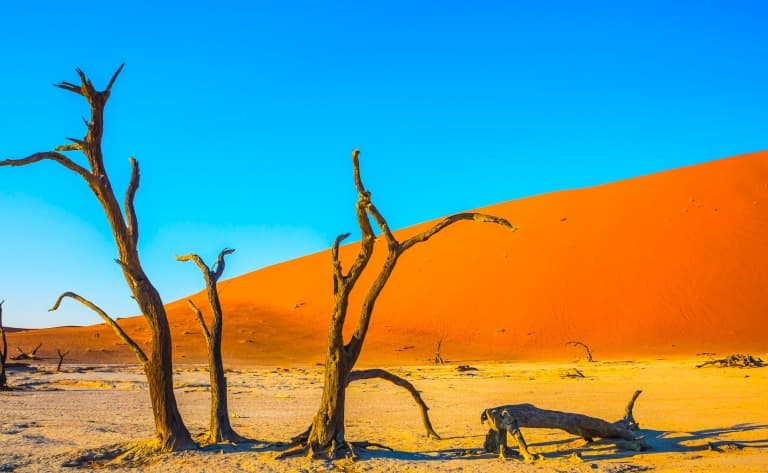 Immersion dans le Désert du Namib (360 km)