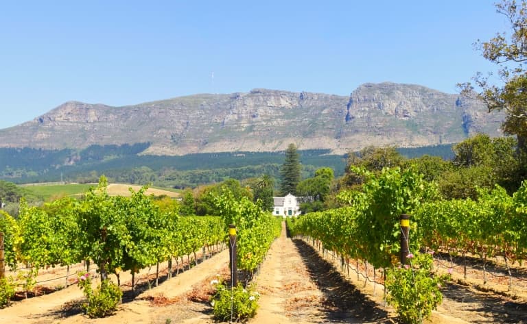 Journée libre à Cape Town