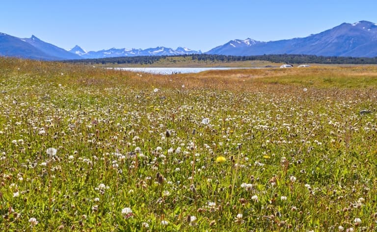 Vol vers El Calafate, après-midi libre découverte