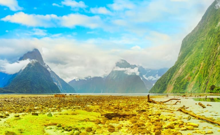 Croisière sur les eaux du fjord Milford Sound