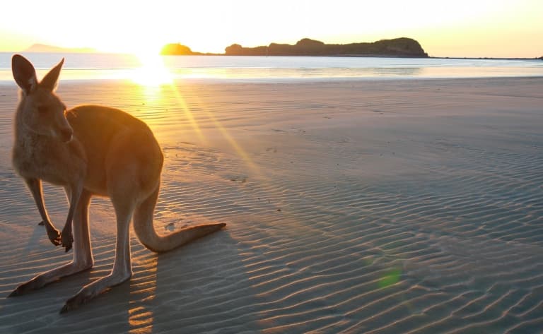 Une journée sur Kangaroo Island