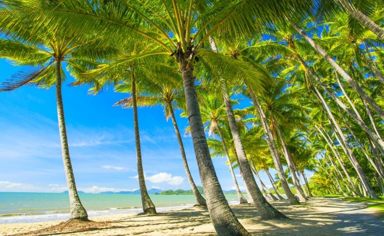Journée libre de découverte de Cairns et sa région