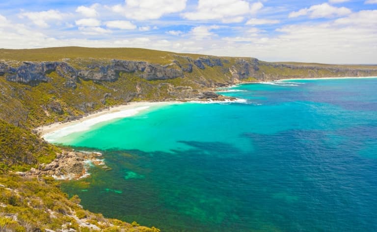 Visite de Kangaroo Island : journée libre