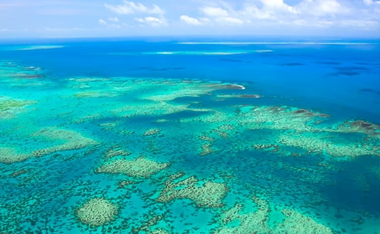 Croisière sur la Grande Barrière de Corail