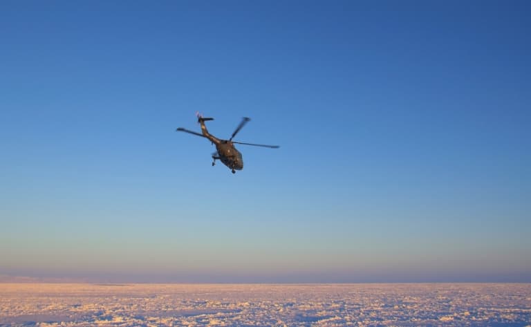 Excursion en hélicoptère sur la banquise et observation des Blanchons