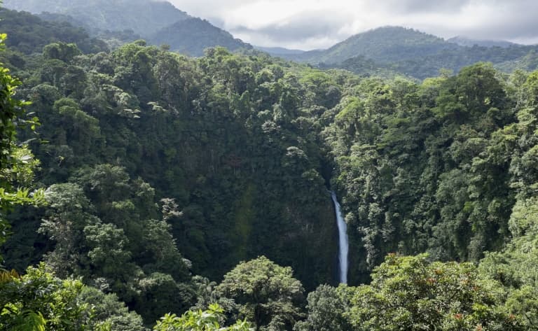 Monteverde, le poumon vert du Costa Rica !