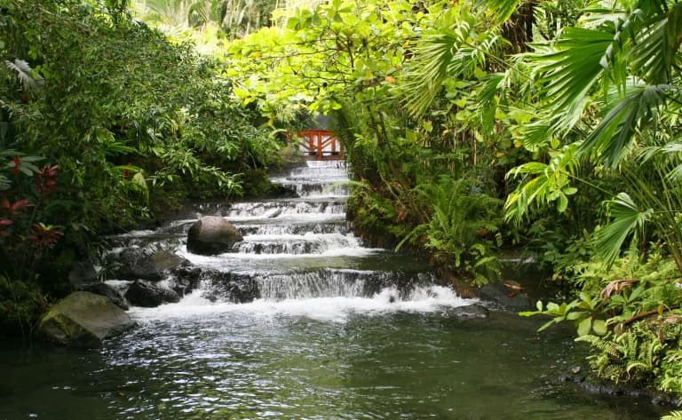 Geysers et sources chaudes dans la jungle !