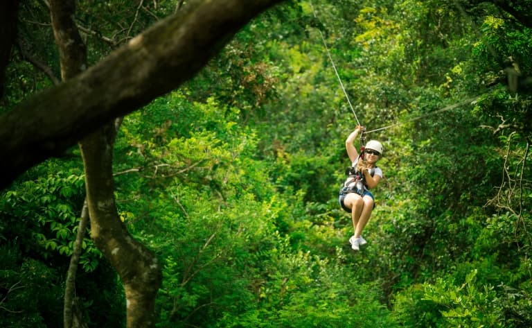 La jungle et la côte sauvage de Manuel Antonio