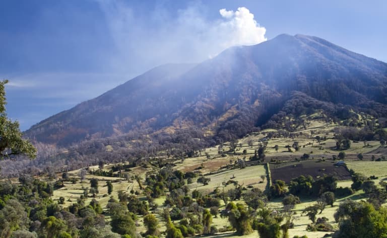 Un arôme à café dans une finca de la région